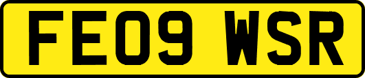 FE09WSR