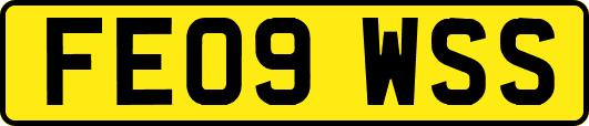 FE09WSS
