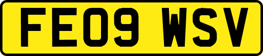 FE09WSV