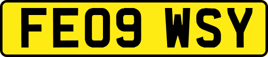 FE09WSY