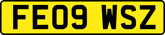 FE09WSZ