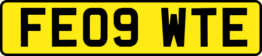 FE09WTE