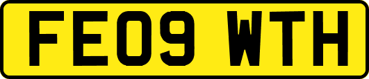 FE09WTH