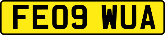 FE09WUA