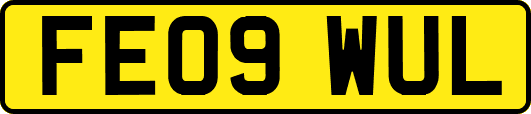 FE09WUL