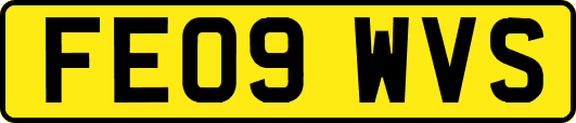 FE09WVS