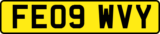 FE09WVY