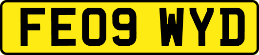 FE09WYD