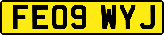 FE09WYJ