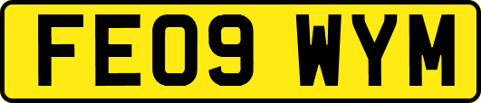 FE09WYM