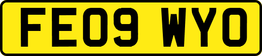 FE09WYO