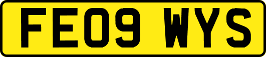 FE09WYS