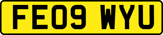 FE09WYU