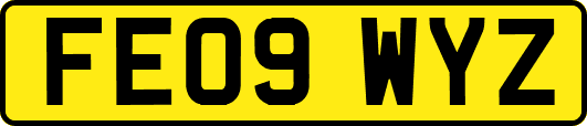 FE09WYZ