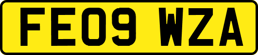FE09WZA