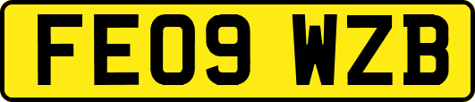 FE09WZB