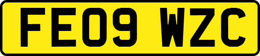 FE09WZC
