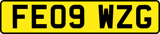 FE09WZG
