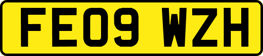 FE09WZH