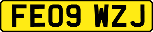 FE09WZJ