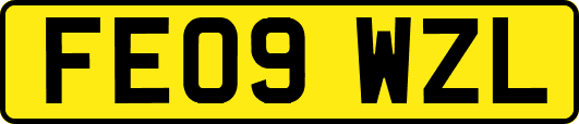 FE09WZL