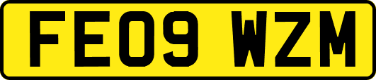 FE09WZM