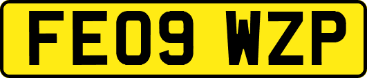 FE09WZP