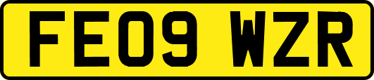 FE09WZR