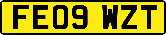 FE09WZT