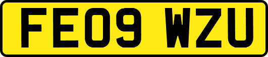 FE09WZU