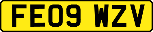 FE09WZV