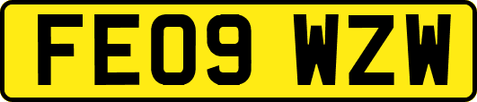 FE09WZW
