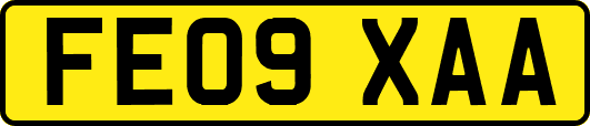FE09XAA