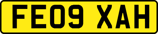 FE09XAH