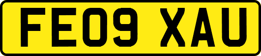 FE09XAU