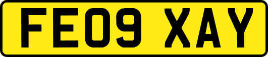 FE09XAY