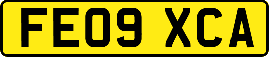 FE09XCA