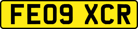 FE09XCR