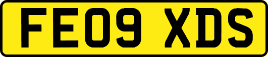 FE09XDS