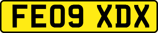 FE09XDX