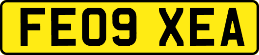 FE09XEA