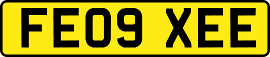 FE09XEE