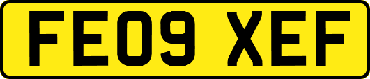 FE09XEF