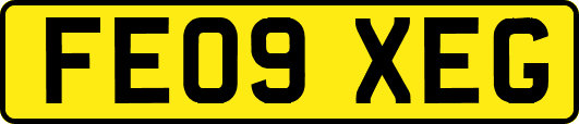FE09XEG