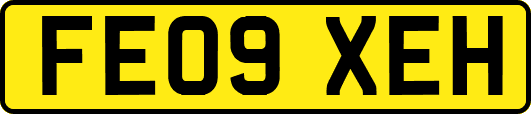 FE09XEH