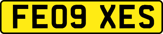 FE09XES