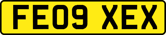 FE09XEX