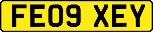 FE09XEY