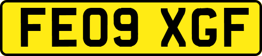 FE09XGF