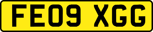 FE09XGG